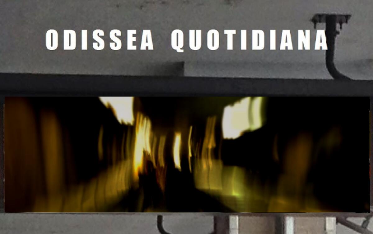 Odissea Quotidiana: Le notizie di oggi - 