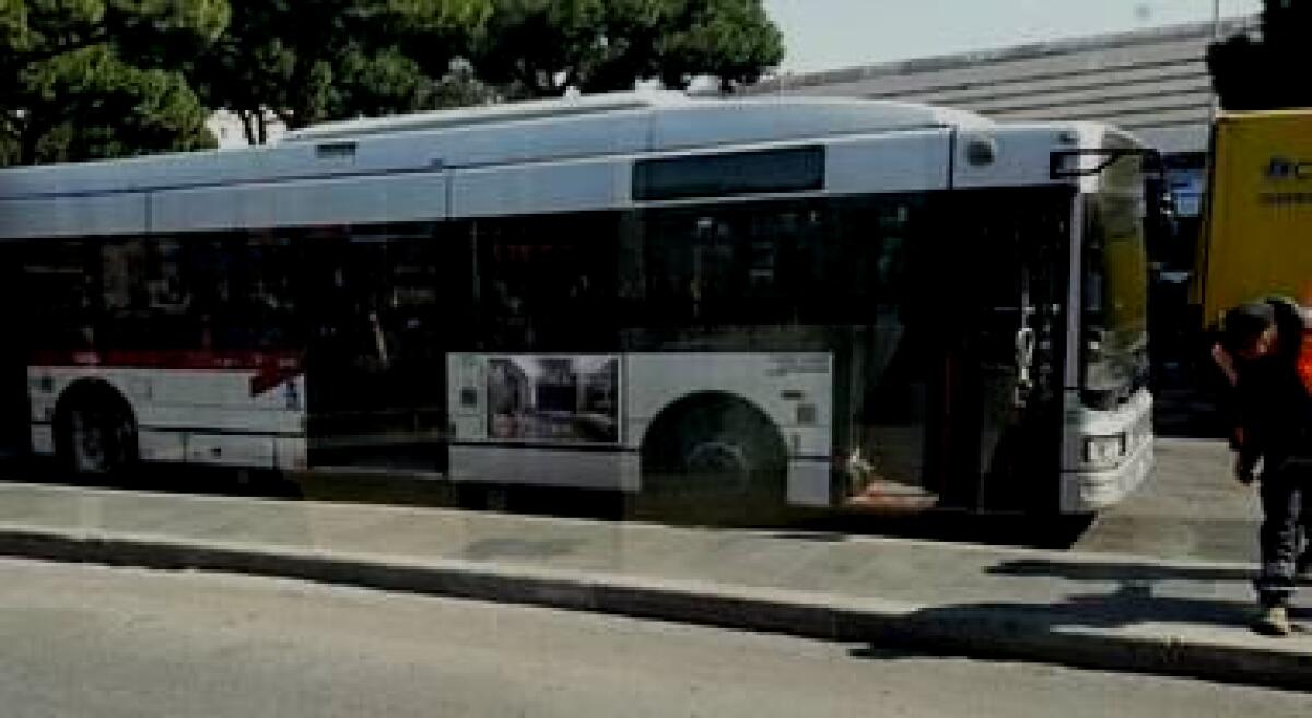 Flambus la storia continua... - 