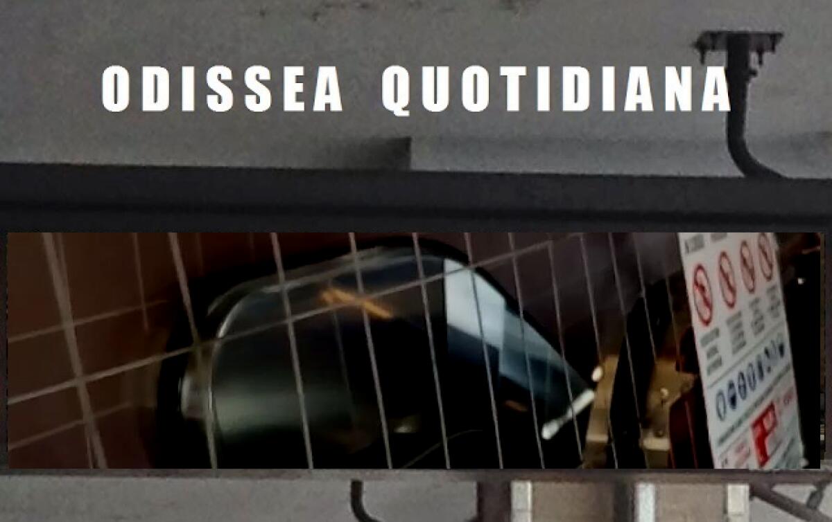 Odissea Quotidiana: Le notizie di oggi - 