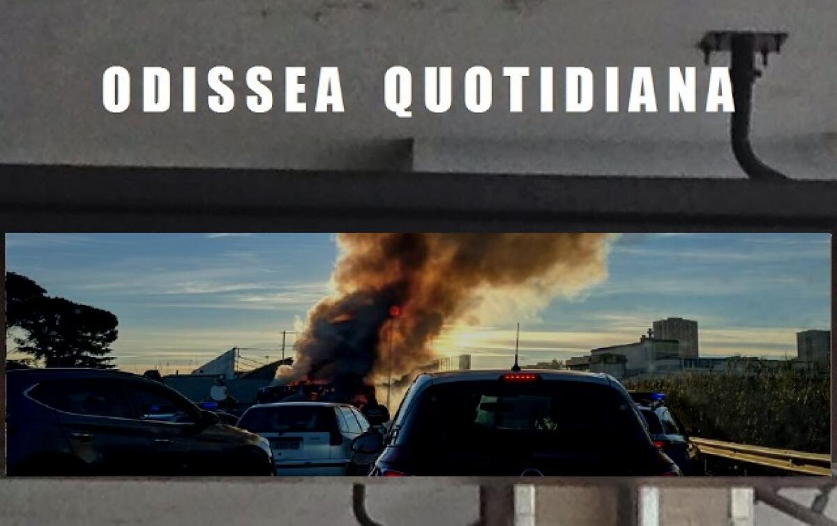 Odissea Quotidiana: Le notizie di oggi - 