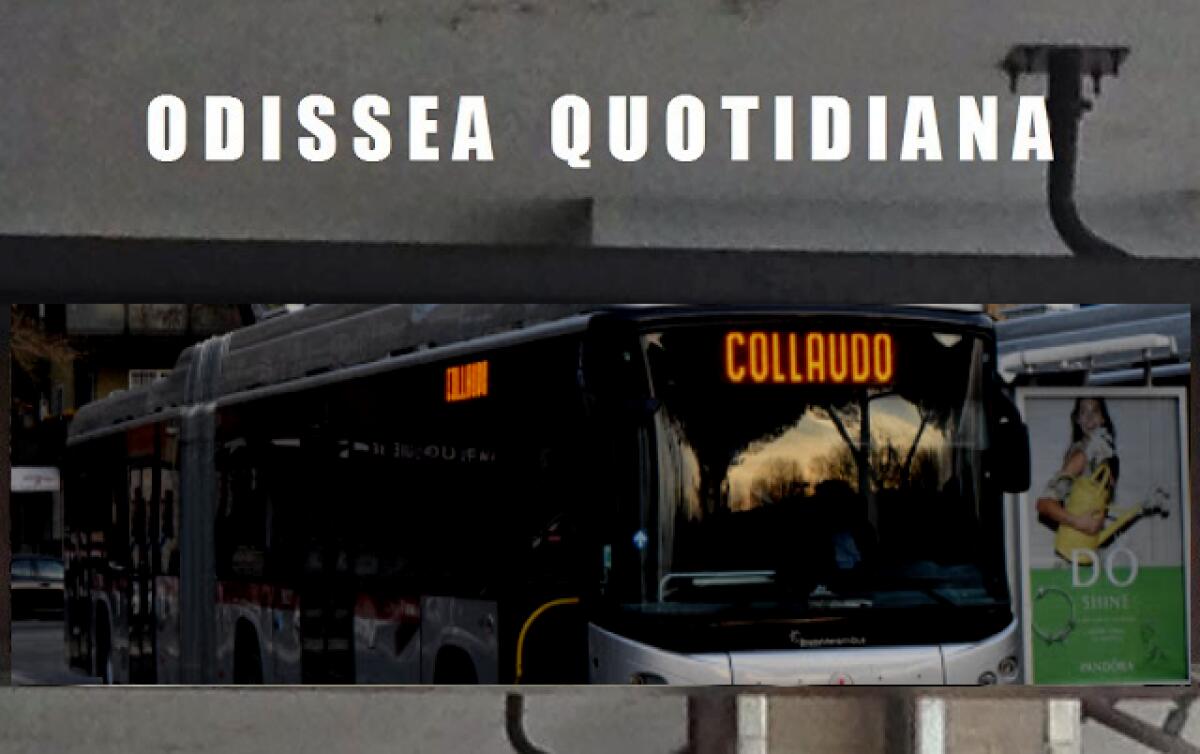 Odissea Quotidiana: Le notizie di oggi - 