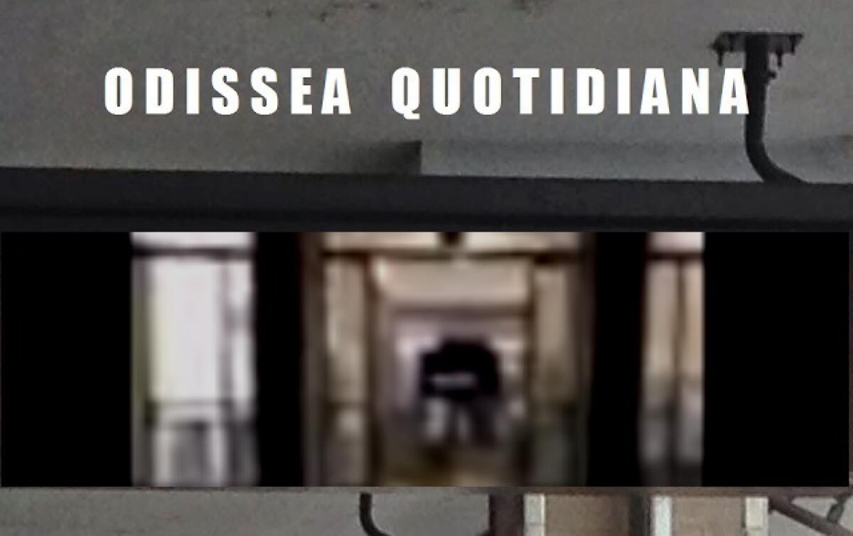 Odissea Quotidiana: Le notizie di oggi - 