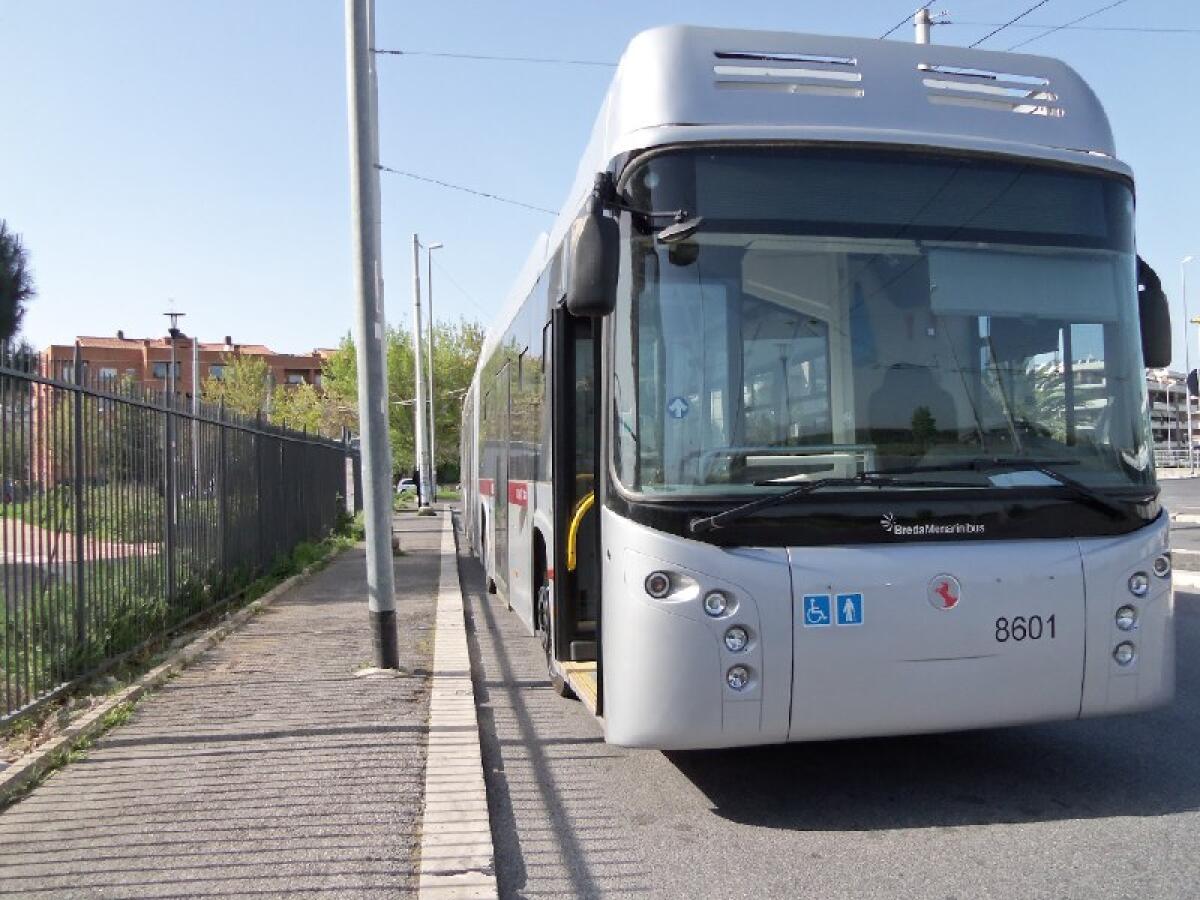 Filobus Laurentina, in strada da fine marzo  - 