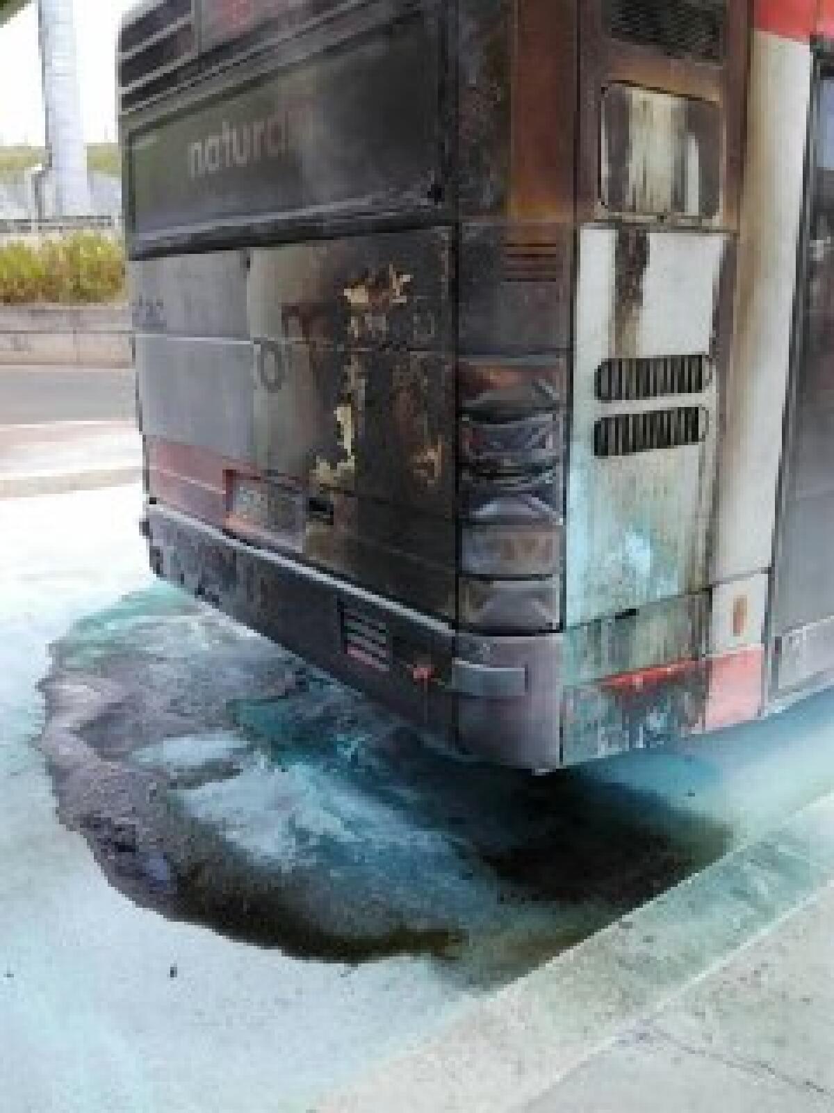 Flambus numero 10 - Conto paro! - 