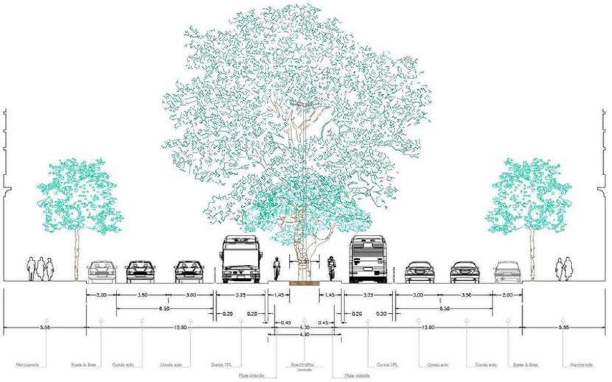 Scelto il nuovo progetto per Viale Marconi - 
