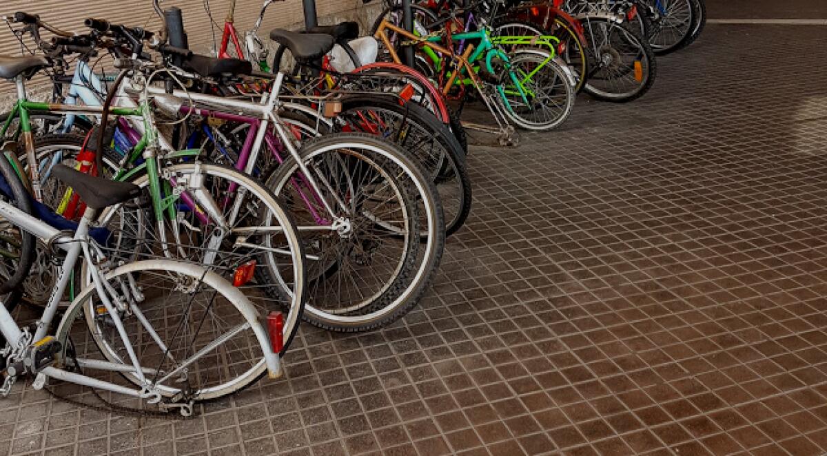 La pulizia degli stalli - 