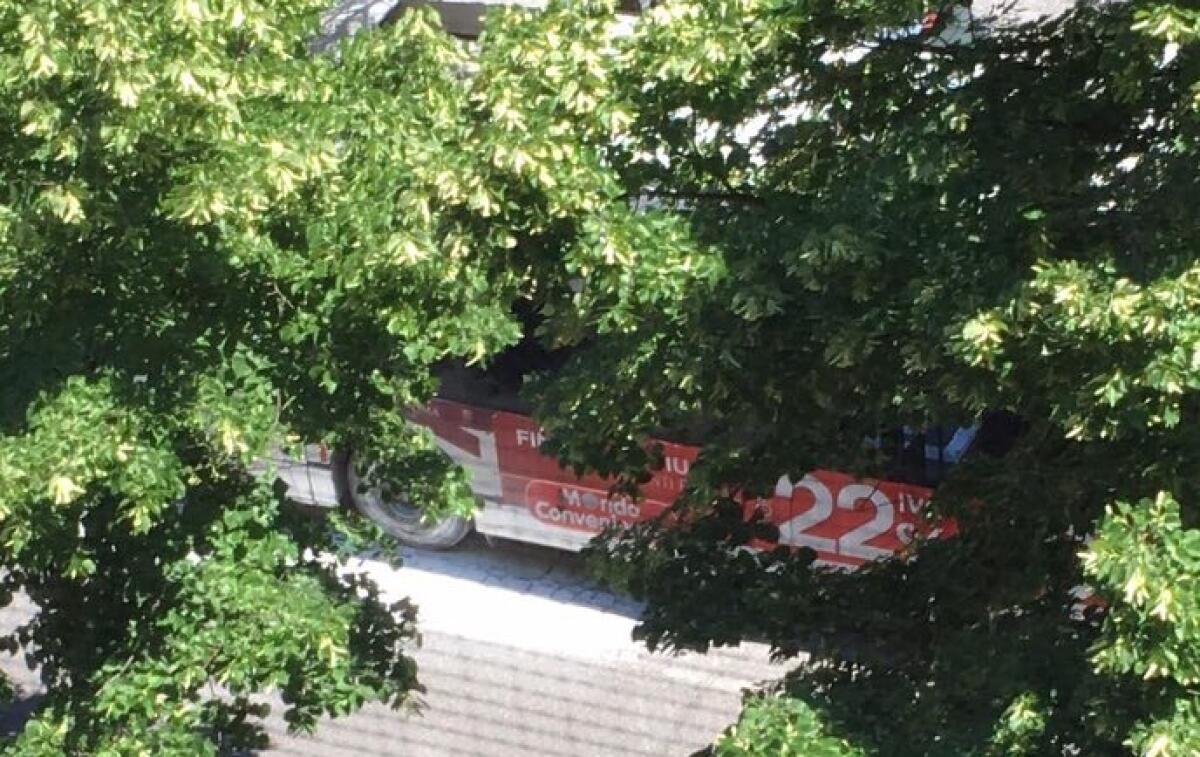 No, questo non è Flambus - 