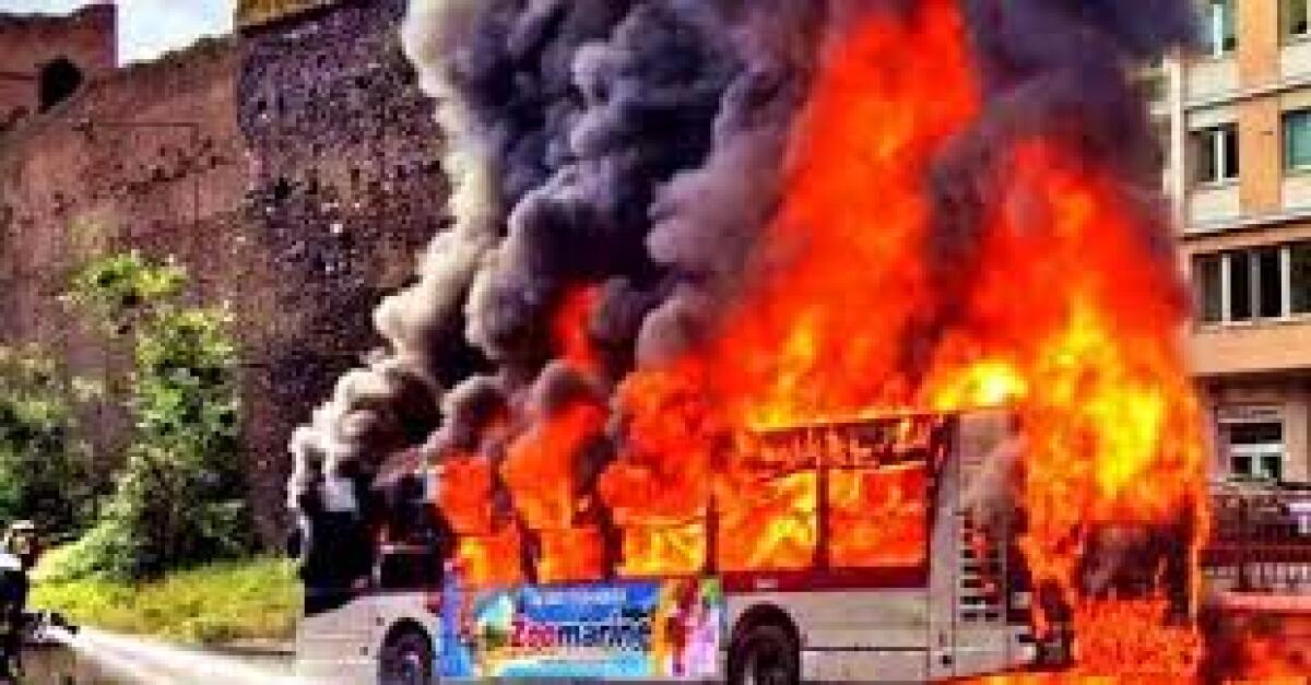 Scopriamo il #Flambus numero 8 - 