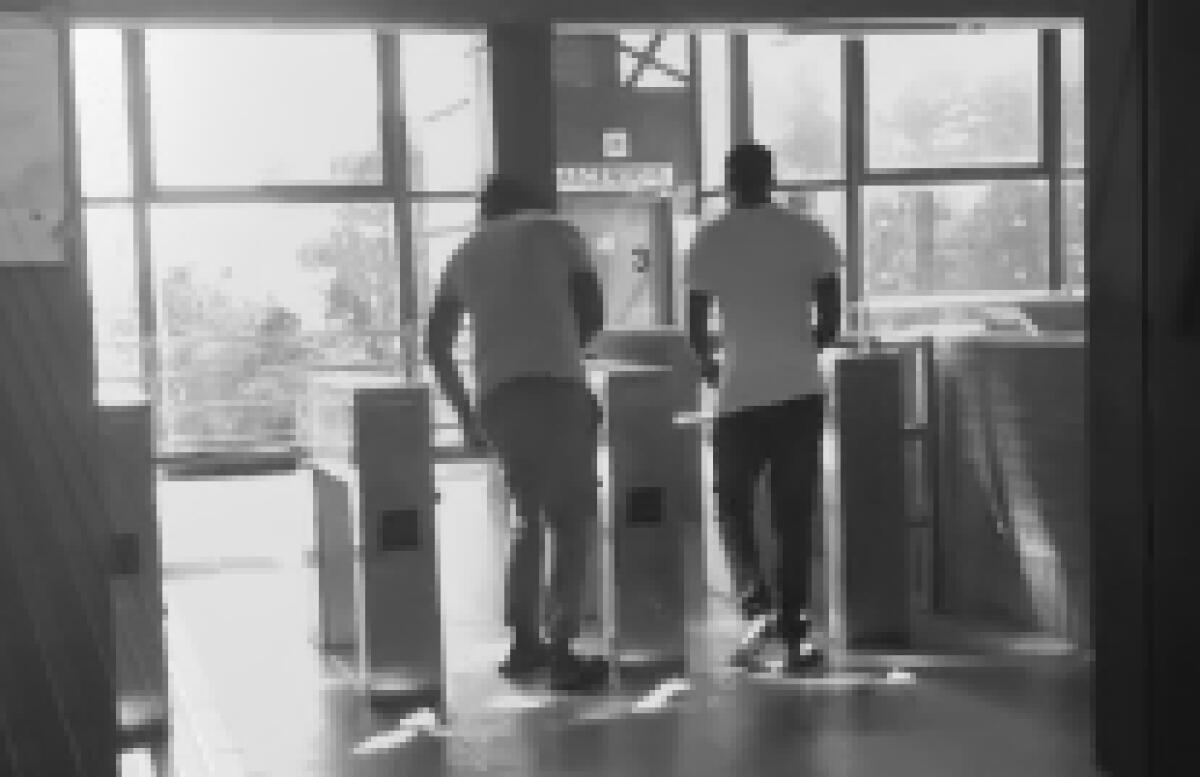 Odissea Quotidiana: le notizie di oggi - 