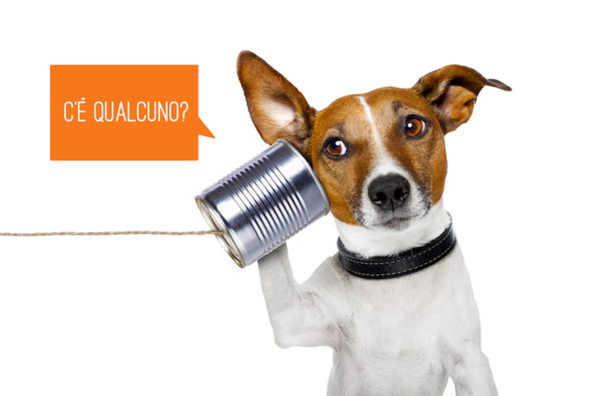 Il risveglio lento di #Infoatac - 