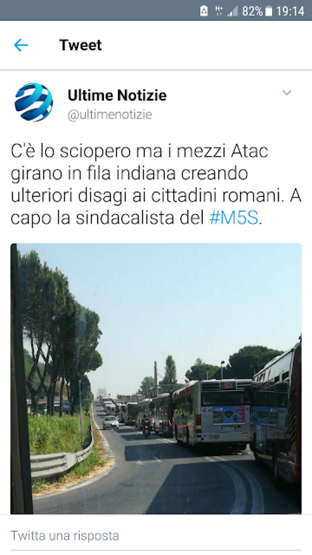 Ho visto file di bus al largo dei bastioni di Grottarossa - 