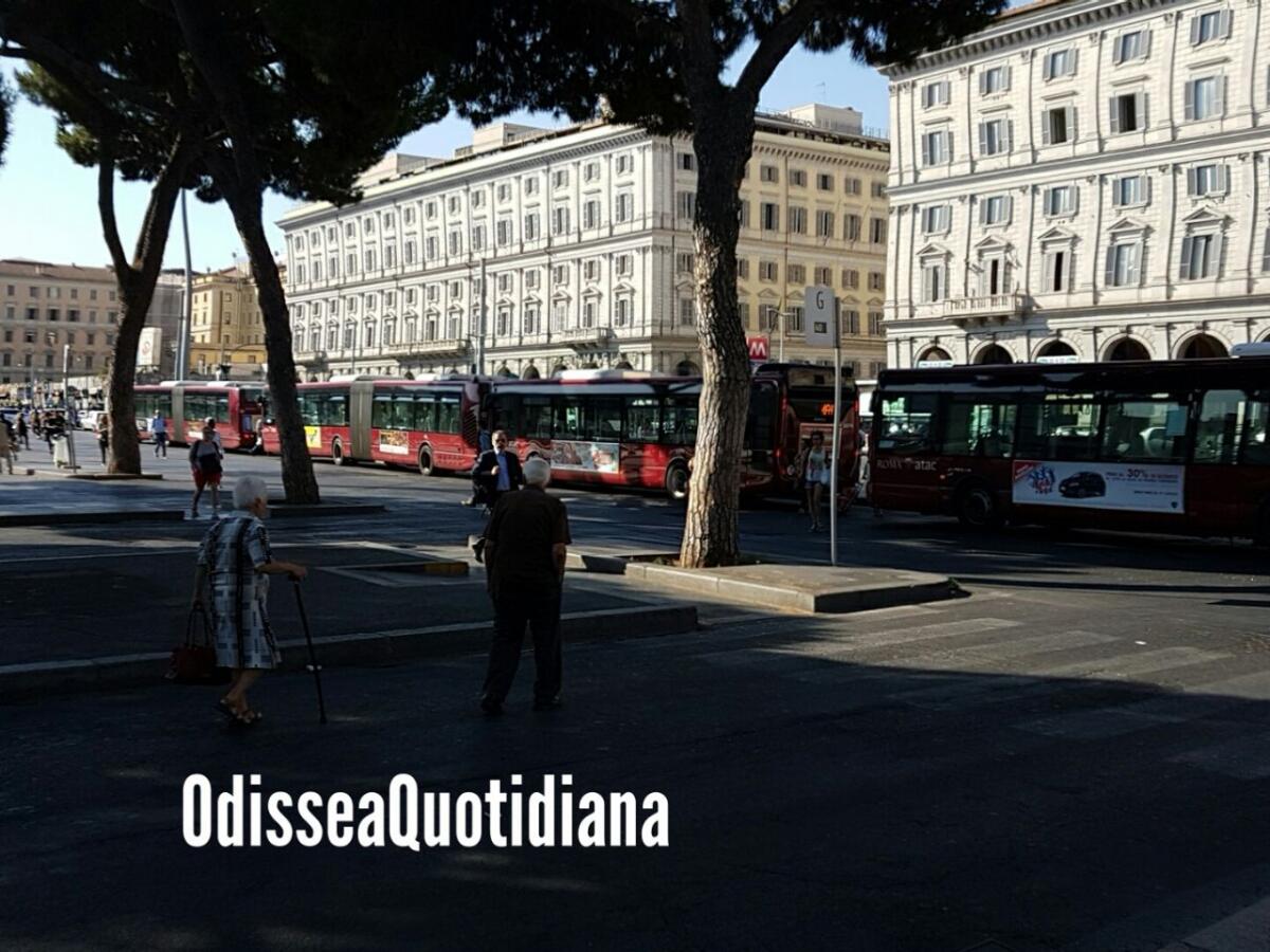 Il vostro giudizio sulle Navette sostitutive - 