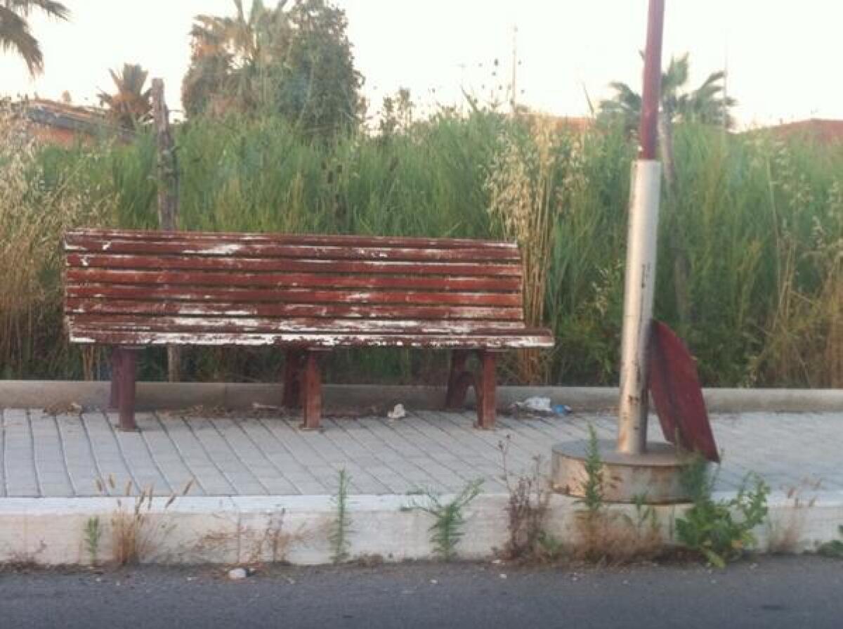 Andremo a votare per il Referendum? - 