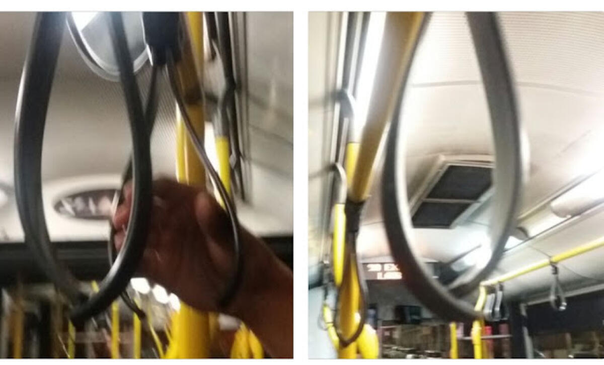 Il disagio dei vandali - 