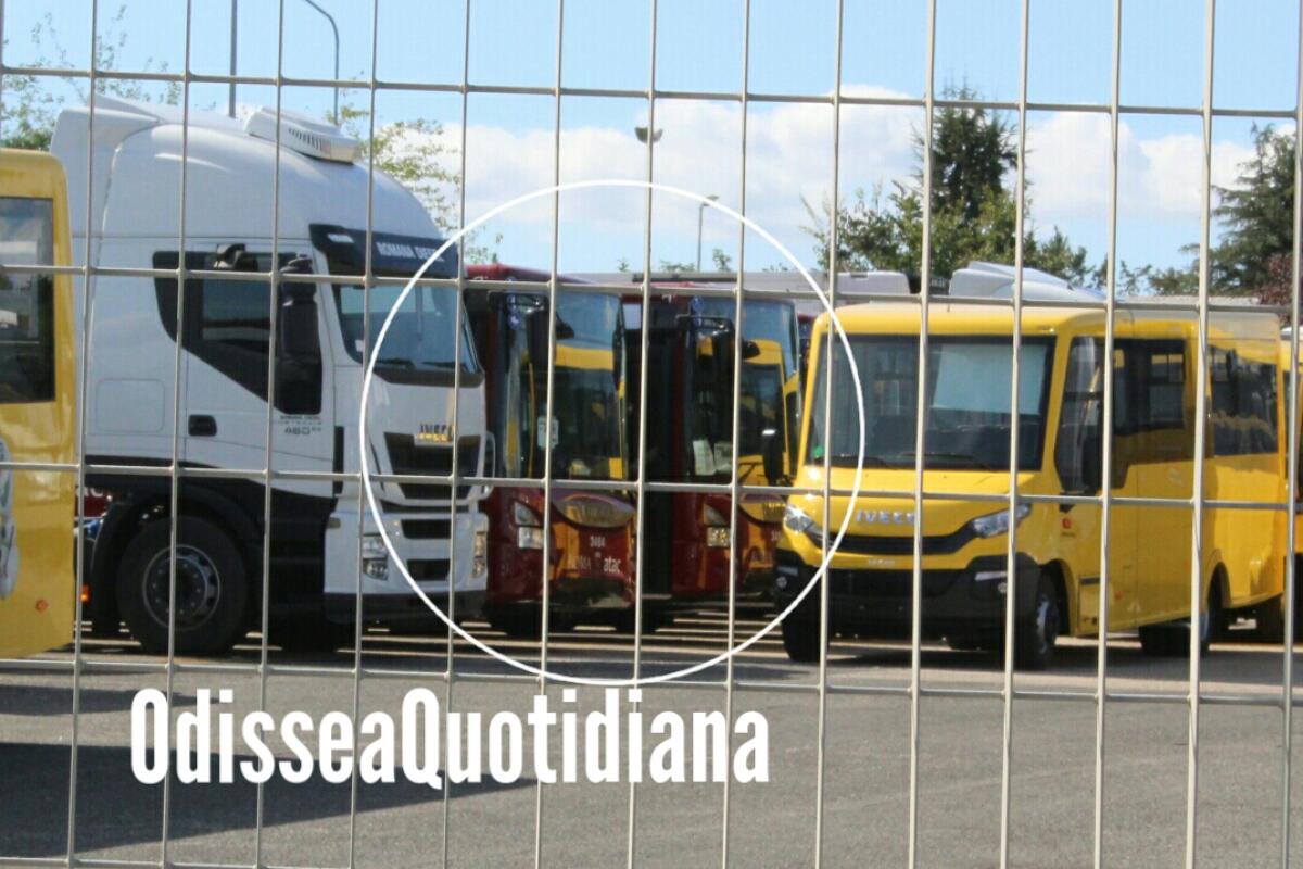 Che fine hanno fatto i 15 nuovi bus di Atac? - 