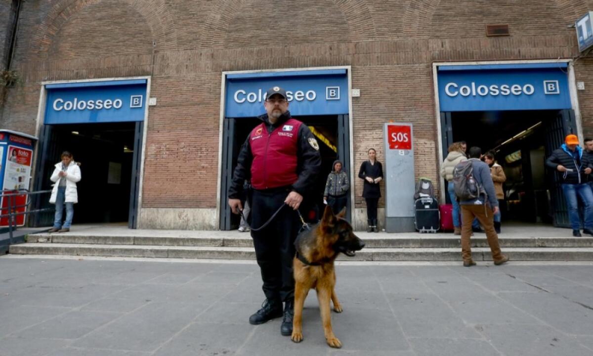 Un servizio da cani! - 