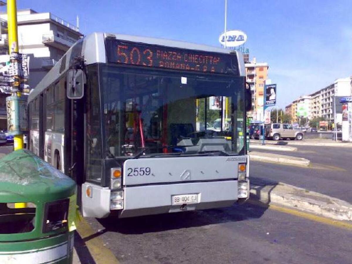 il 503 ed il quartiere dimenticato - 