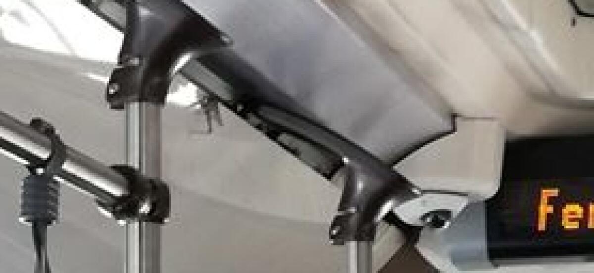 L'invasione delle cavallette? - 