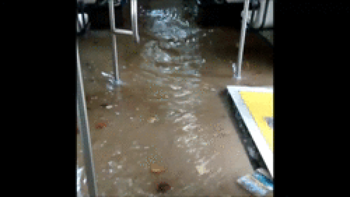 Tornate a bordo, cazzo! - 