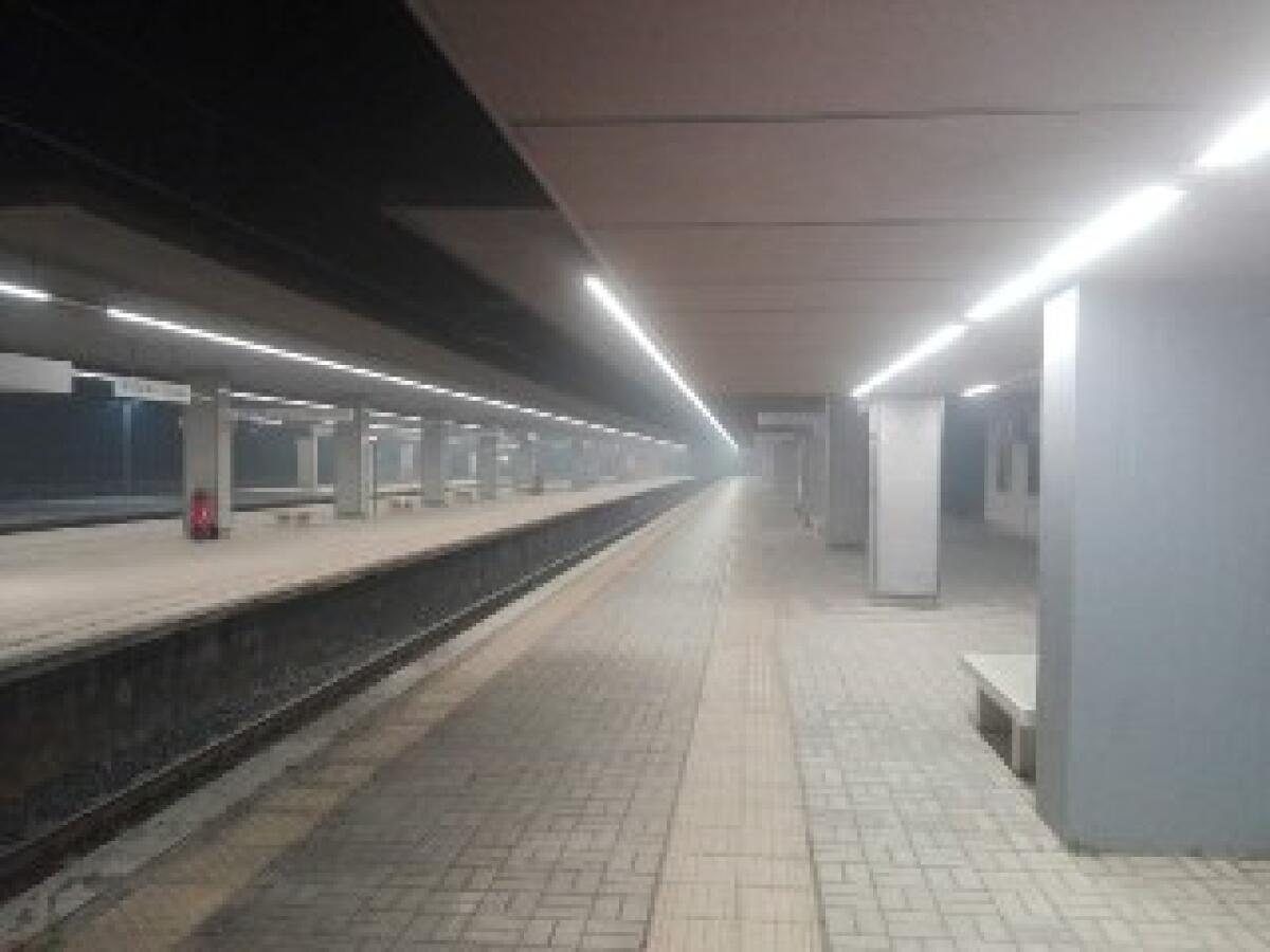 Vandali a Castel Fusano - 