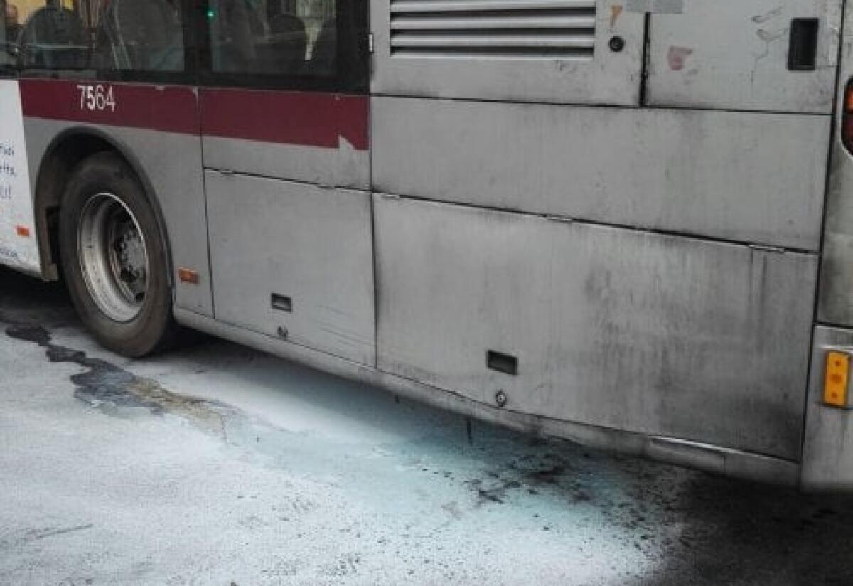 Il primo Flambus del 2018 - 