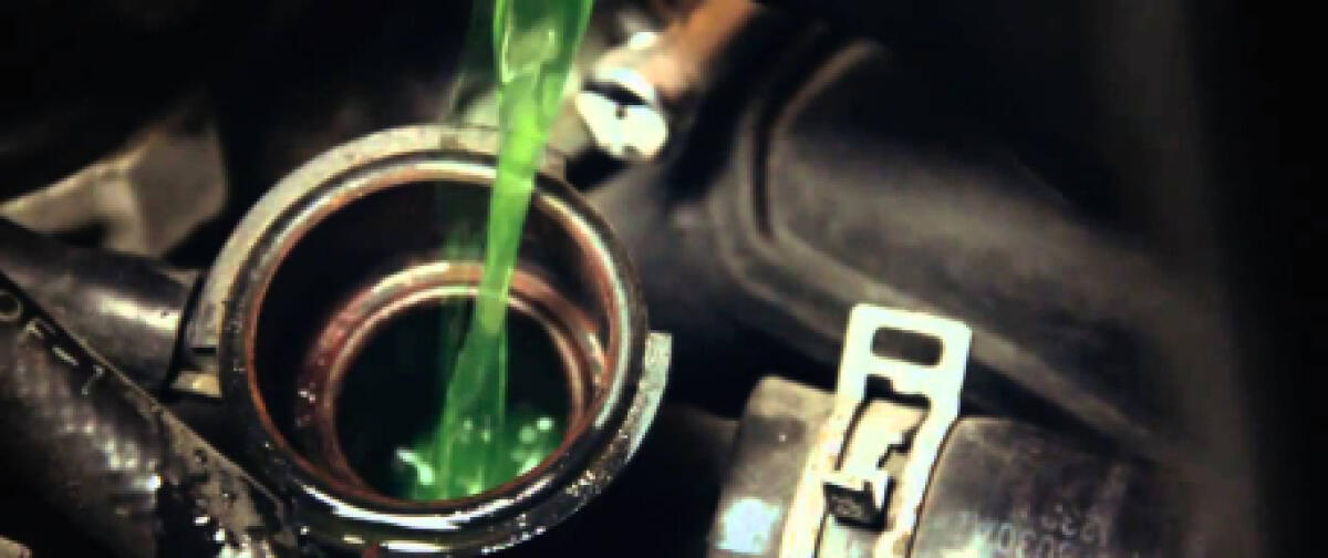 Cosa ne pensate di questo bando? - 