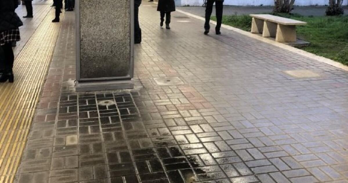 Stella Polare: Ho visto cose che voi pendolari... - 