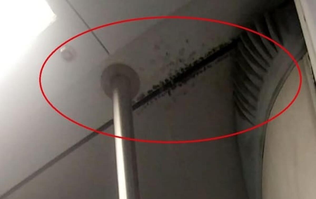 Maltempo: piove nei vagoni della Metro B, foto e video - 