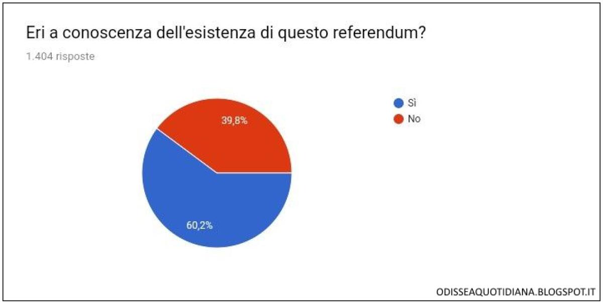 I numeri del Referendum - 