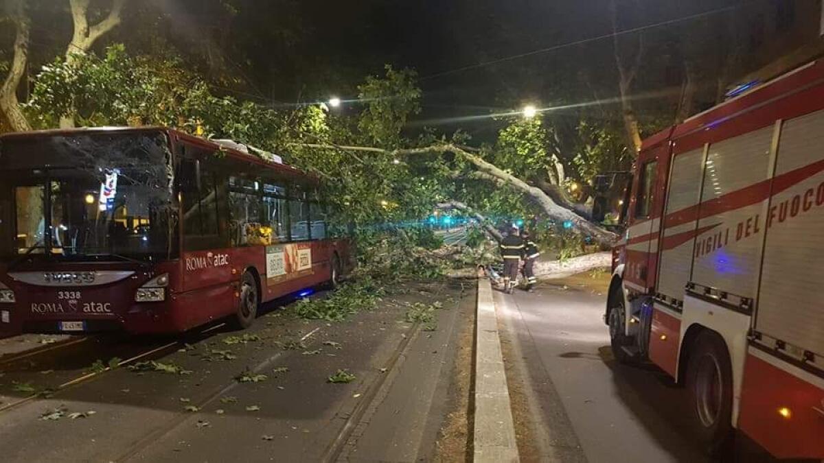 Roma, albero cade su autobus notturno: feriti lievi - 
