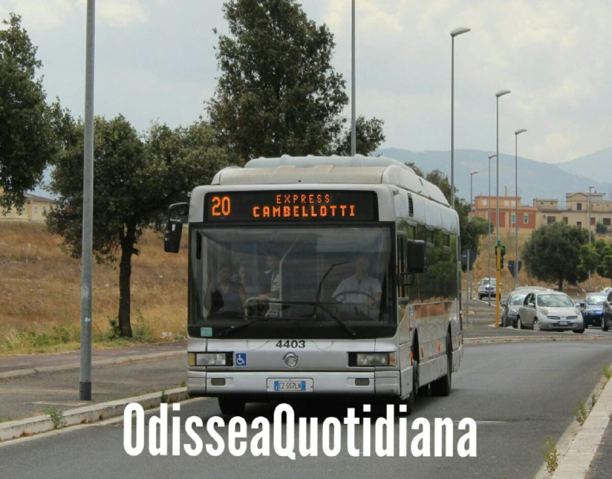 Psicosi Flambus a Roma - 