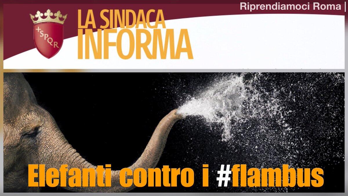 Flambus - I modelli più probabili - 