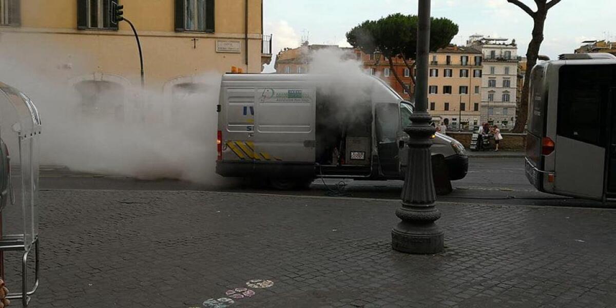 Flambus Everywhere - 