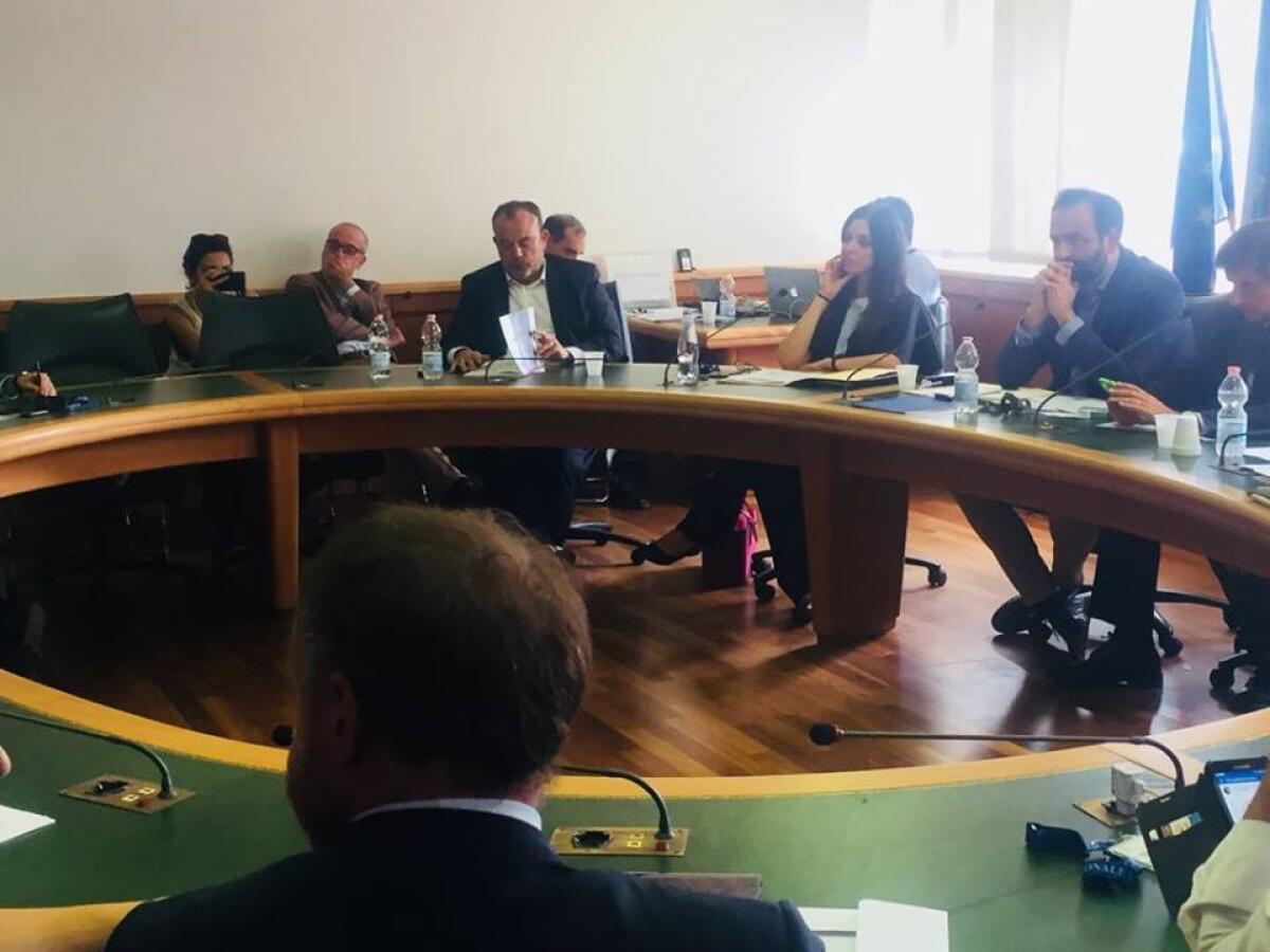 La cessione della ferrovia Roma-Giardinetti a Roma Capitale - 