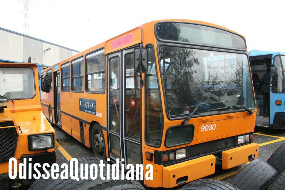 Bus Storici Cotral - Un patrimonio da salvaguardare! - 