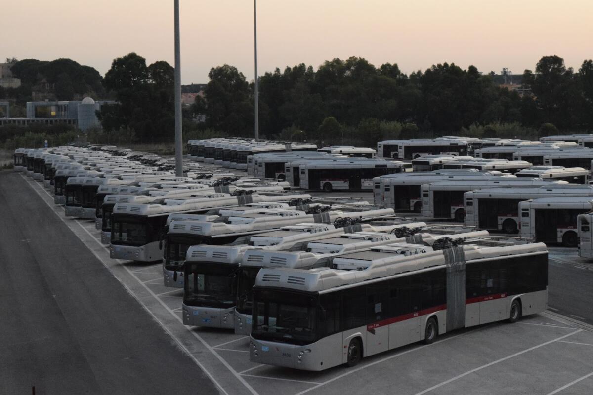 Arrivano le linee “F”! - 