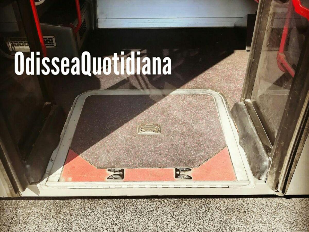 Le linee garantite, o no? - 