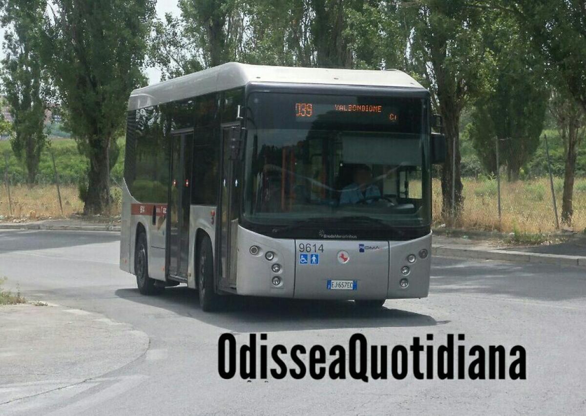 Quel brutto pasticciaccio col privato - 