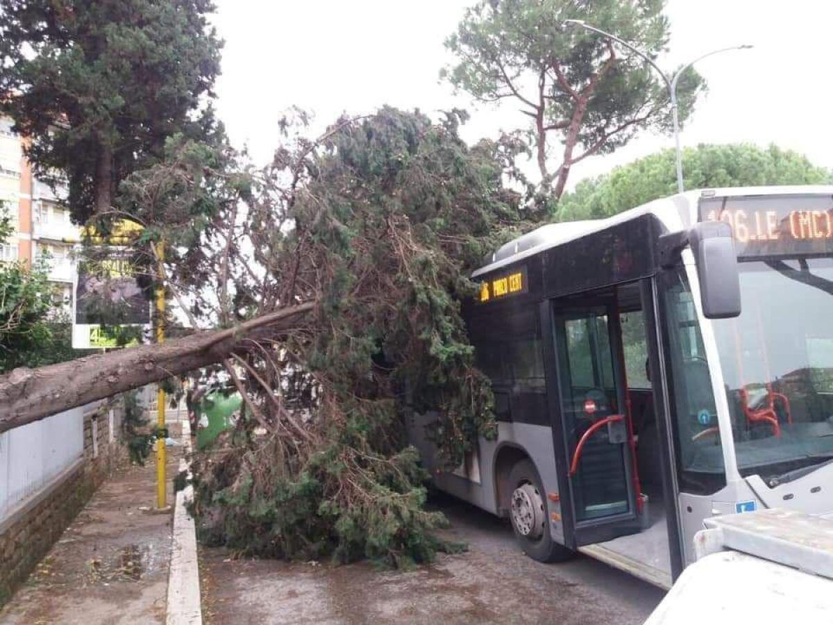 Le conseguenze del maltempo - 