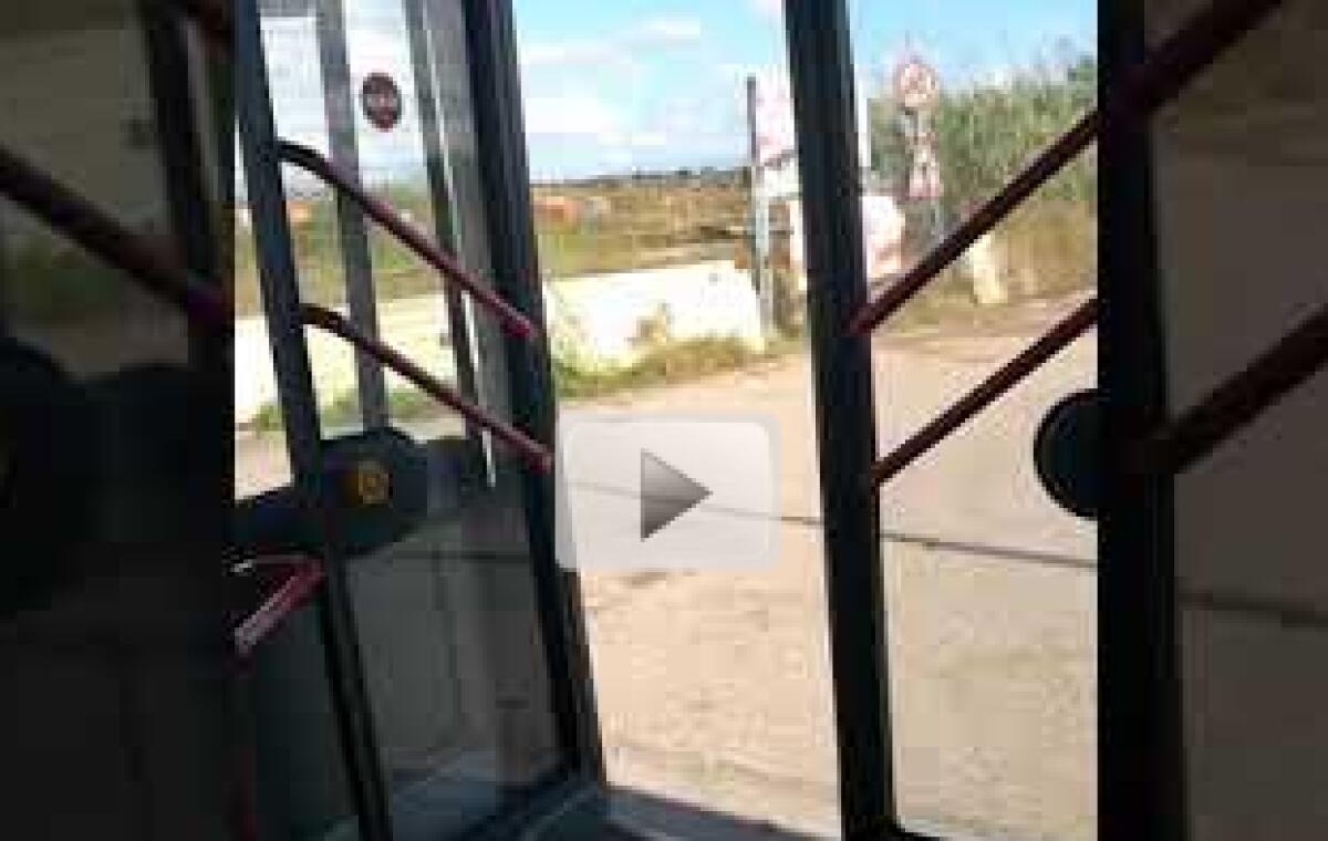 Un bel viaggio rinfrescante... sul bus - 