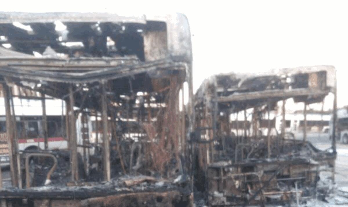 Flambus Tor Pagnotta - Esondazioni verbali inappropriate - 