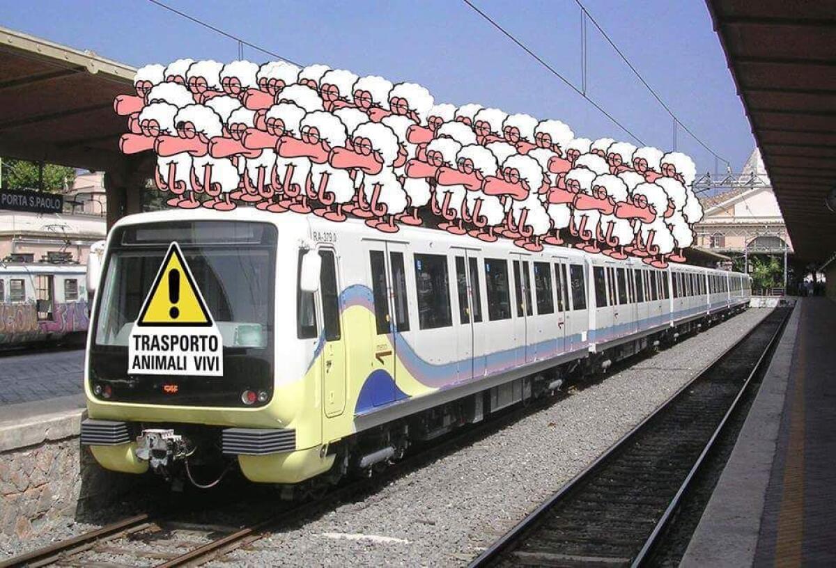 Meleo: "La proprietà delle Ferrovie Concesse passi dalla Regione al Comune" - 