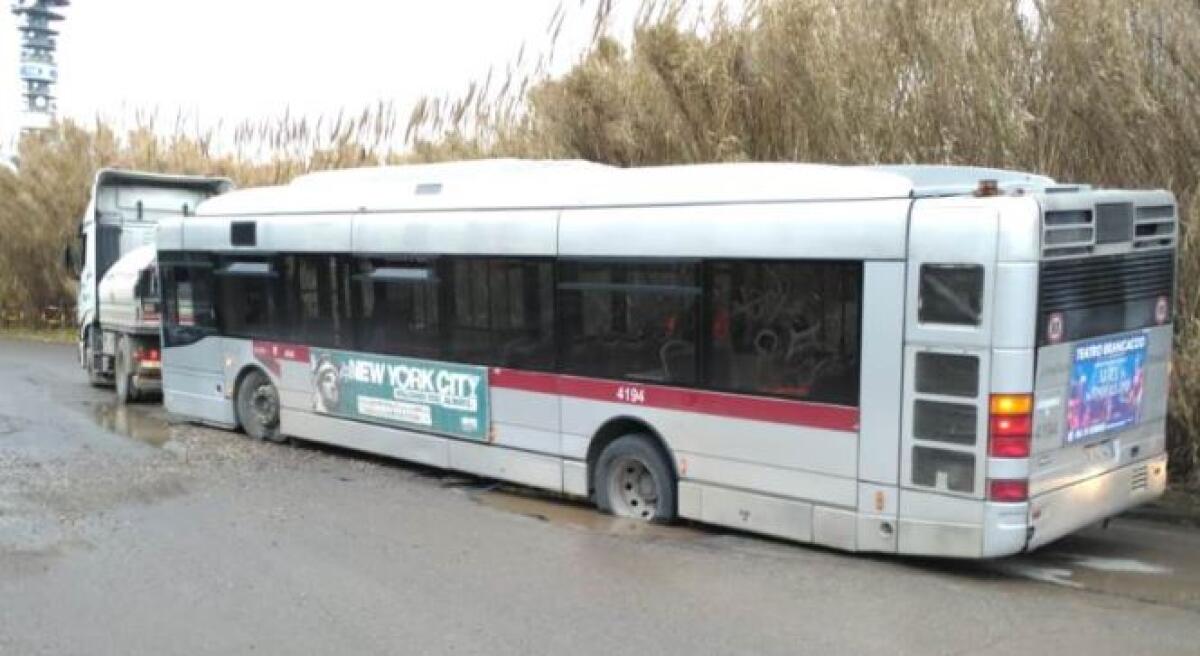 Atac nel pantano - 