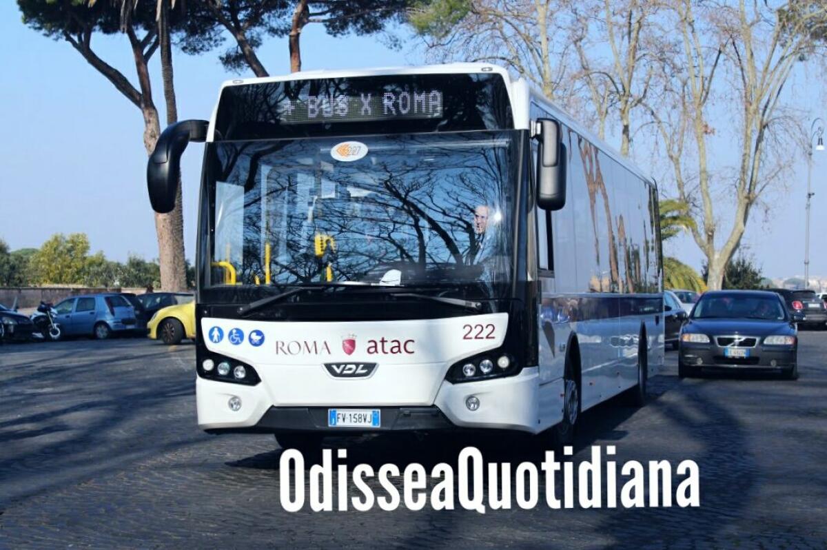 Dove sono finiti i nuovi bus? - 