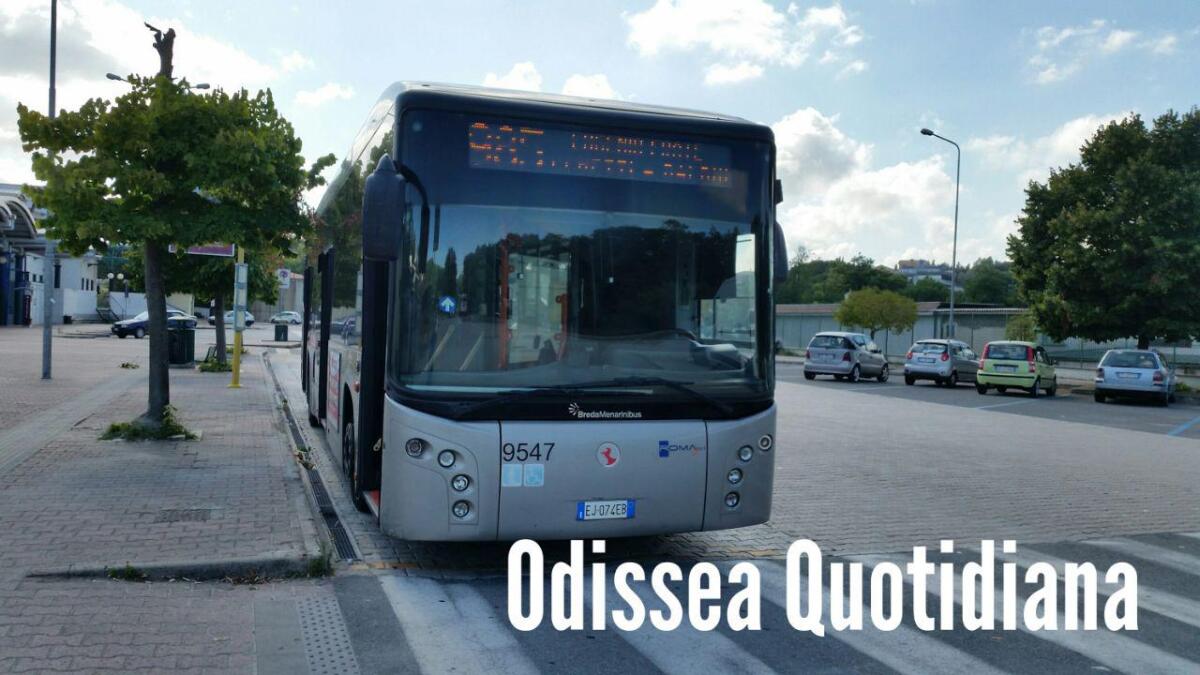 Ostia Antica, l’autobus 011 è l’incubo di via Fiorelli - 