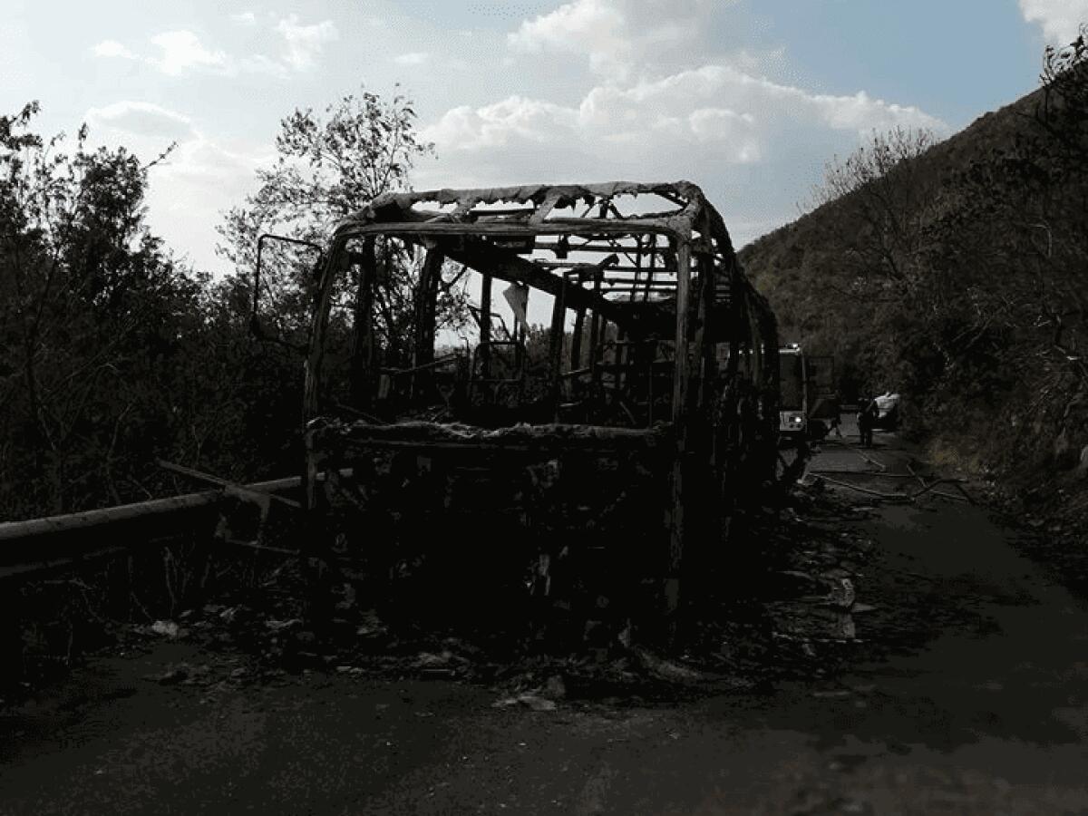 Cotral come Atac: quarto Flambus da inizio anno - 