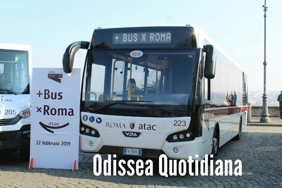 Atac, i bellissimi nuovi bus bianchi di Roma con i sedili scomodissimi - 