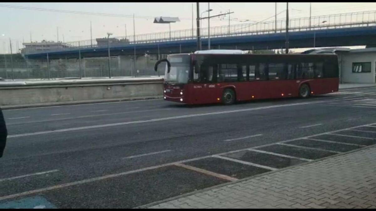 Finalmente in arrivo i nuovi 227 bus "CityMood" - 