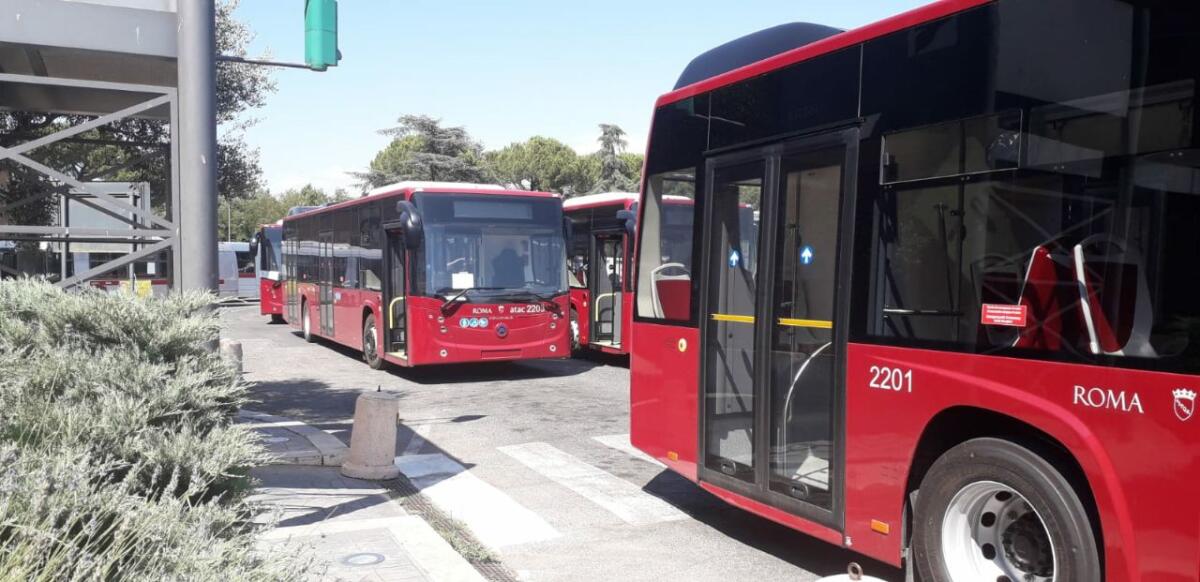 Giovedì 1 agosto - presentazione dei nuovi bus - 
