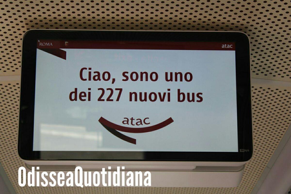 Quando arriveranno tutti i bus? - 